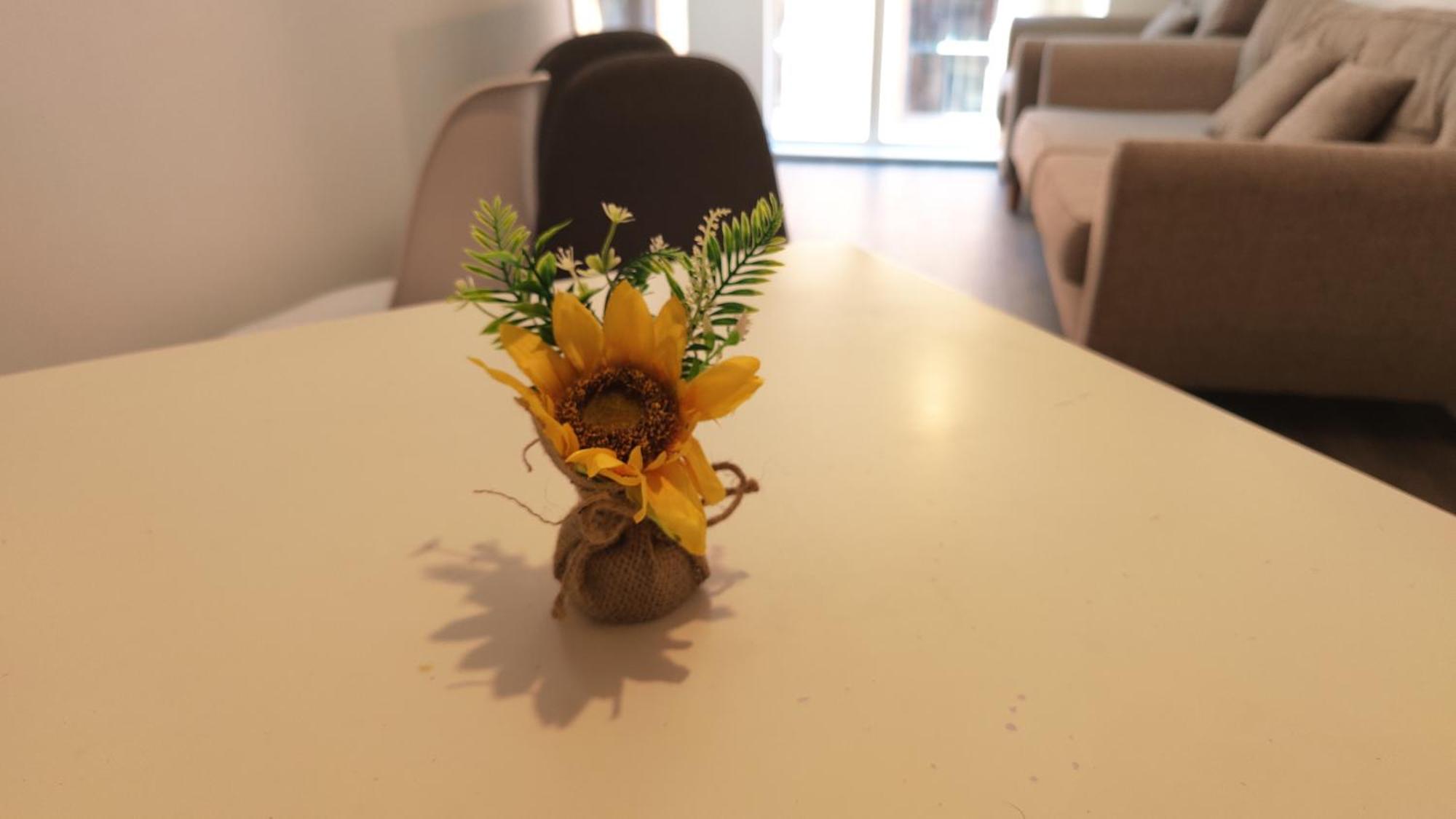 Bee Cosy - Greater Centre Manchester